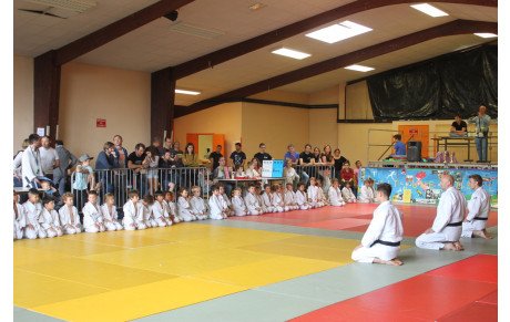 Gala Judo Latresne 31 mai 2015