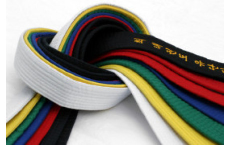 Possibilité de passer les grades (ceinture noire) ...