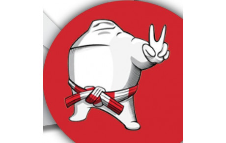 Le JC TOMODACHI organise un stage découverte et perfectionnement JUDO les 18 et 19 AVRIL 2017