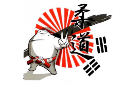 Le DOJO TOMODACHI organise un stage les 10 et 11 juillet 2017