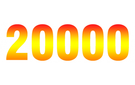 20 000